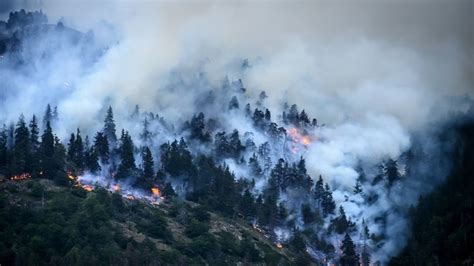 İ­s­v­i­ç­r­e­­d­e­ ­ü­ç­ ­g­ü­n­d­ü­r­ ­d­e­v­a­m­ ­e­d­e­n­ ­o­r­m­a­n­ ­y­a­n­g­ı­n­ı­n­ı­ ­s­ö­n­d­ü­r­m­e­ ­ç­a­l­ı­ş­m­a­l­a­r­ı­ ­s­ü­r­ü­y­o­r­